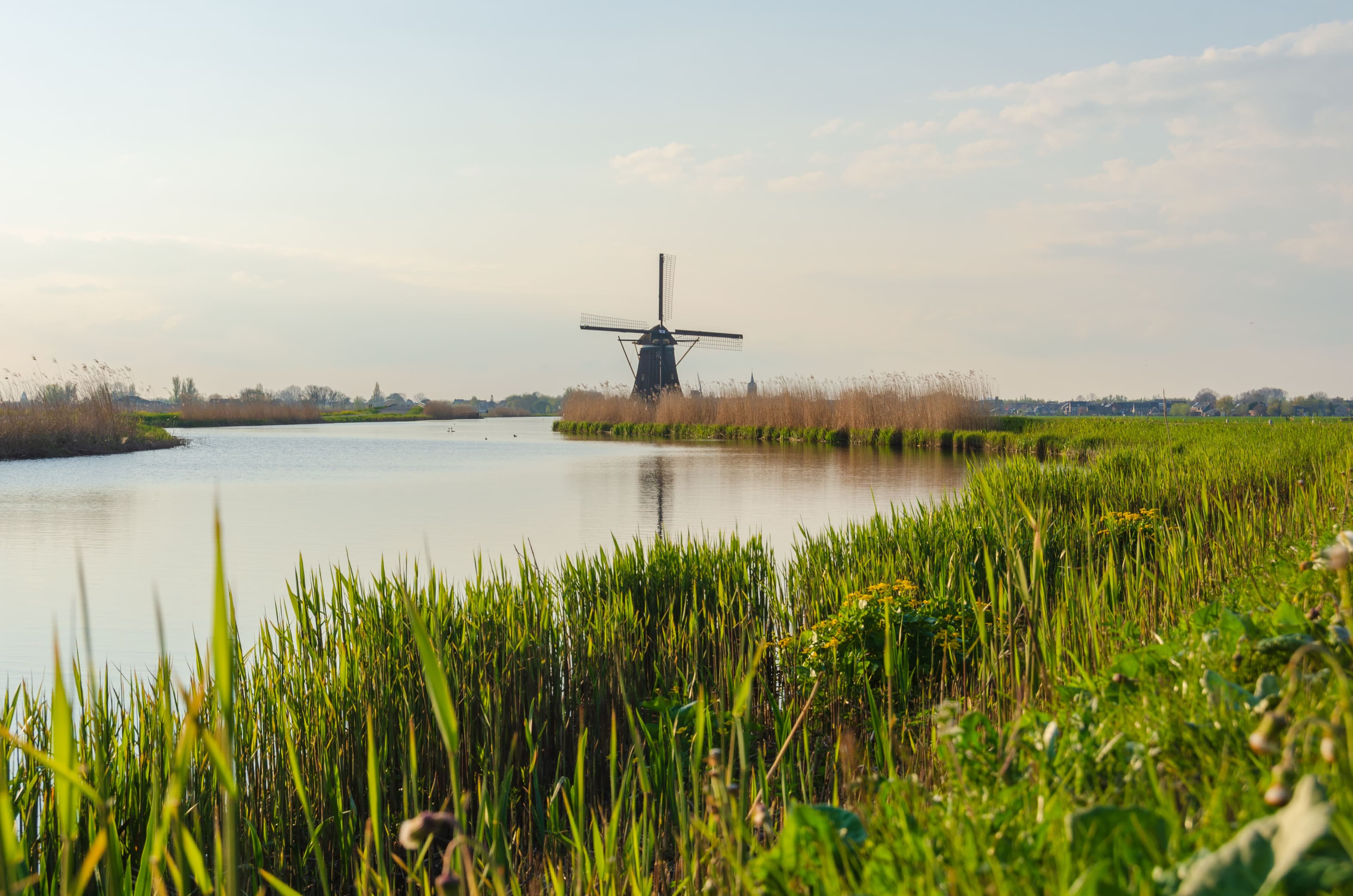 Landschap Alblasserwaard